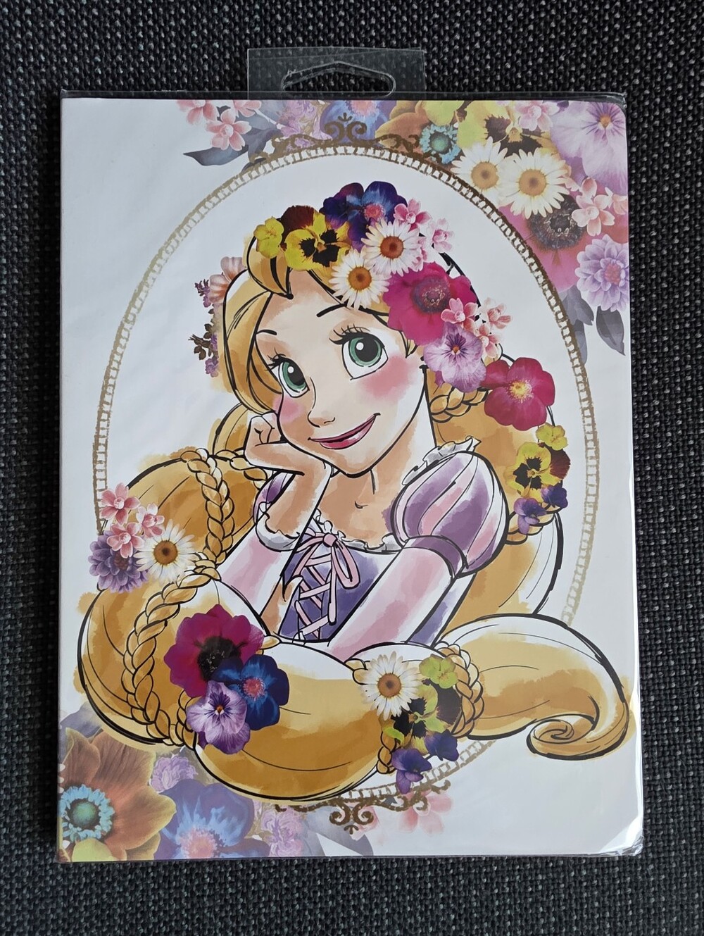 NIP Disney Store Japan exclusive Disney Assorted Princess Sticky Notes w/ cover